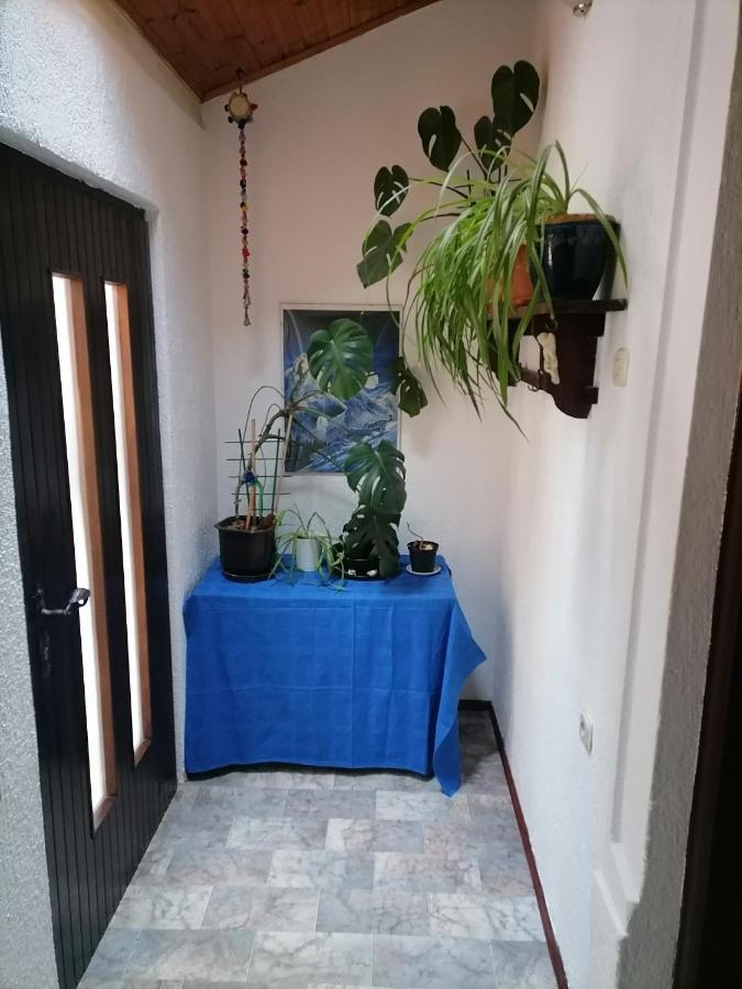 PUY Apartman Zepina מראה חיצוני תמונה