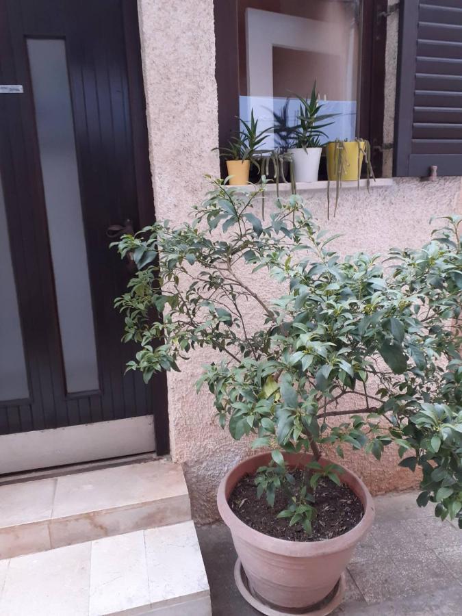 PUY Apartman Zepina מראה חיצוני תמונה